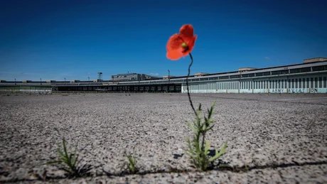 Tempelhofer Feld