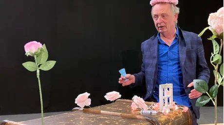 Wenn du einen Wal sehen willst