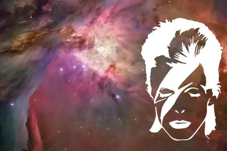 Visual »Space Oddity: A Tribute to David Bowie«