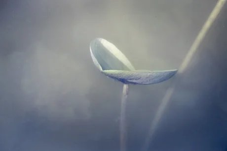 Ausstellungseröffnung Wabi Sabi – Eine fotografische Annäherung