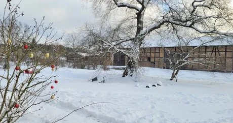 Hiram Haus