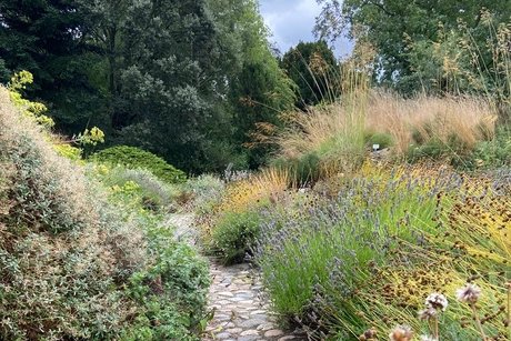 Gesund im Garten