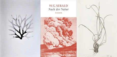 Details aus Christiane Löhr, Granai, 1999 und herman de vries, 16 dm2, 1979 © VG Bild-Kunst Bonn; W. G. Sebald, Nach der Natur, 2015