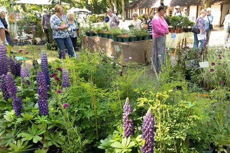 genid-eb1daf00d85749978505faa57336b74926544839-b8