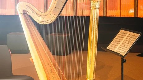 genid-eb1daf00d85749978505faa57336b74927991477-b9