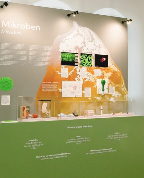 genid-eb1daf00d85749978505faa57336b74932994951-b12