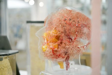 genid-eb1daf00d85749978505faa57336b74932994951-b24