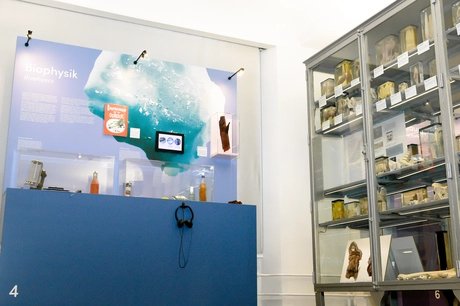 genid-eb1daf00d85749978505faa57336b74932994951-b32