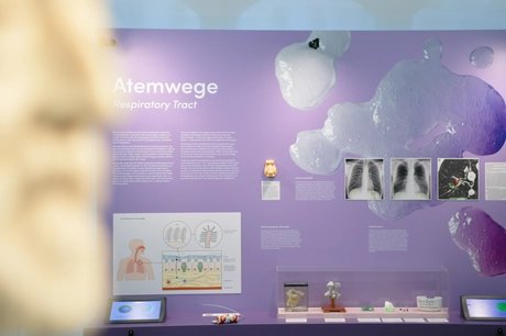 genid-eb1daf00d85749978505faa57336b74932994951-b8