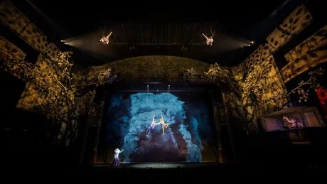 Cirque Du Soleil ALIZÉ - Straps & Bungee