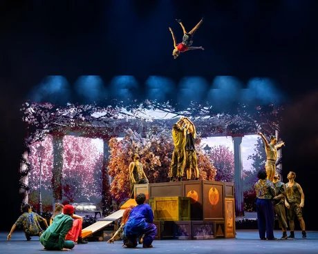 Cirque Du Soleil ALIZÉ - Planquine