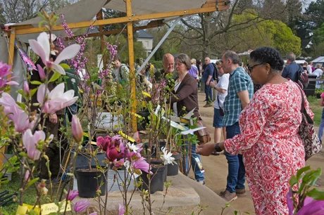 Berliner Staudenmarkt