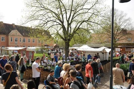 Berliner Staudenmarkt