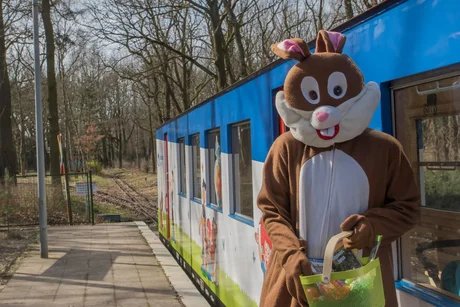 genid-f342301f14474fc8842de2d7e60cbf845876490-b8