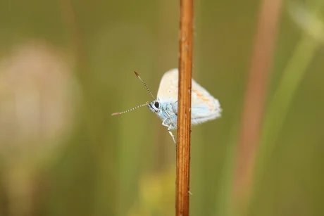 genid-f342301f14474fc8842de2d7e60cbf846465347-b11