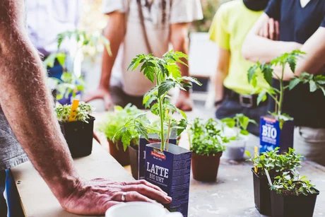 genid-f342301f14474fc8842de2d7e60cbf846473327-b11