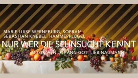 VISUAL NUR WER DIE SEHNSUCHT KENNT –