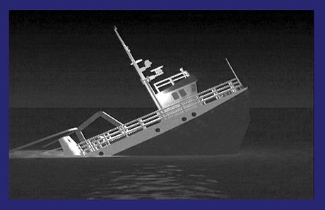 VISUAL COLD CASE AUF DER OSTSEE - Der Fall Beluga VISUAL COLD CASE AUF DER OSTSEE - Der Fall Beluga