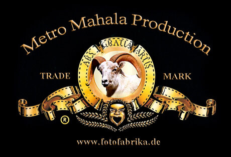 Veranstaltungen in Berlin: Metro Mahala Production