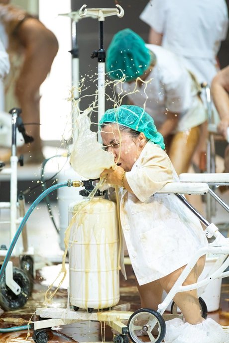 A Year without Summer