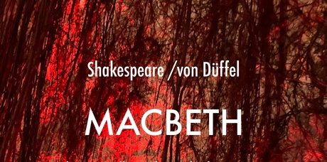 VISUAL Macbeth