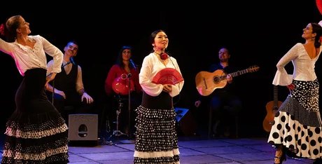 Mi Mundo Flamenco