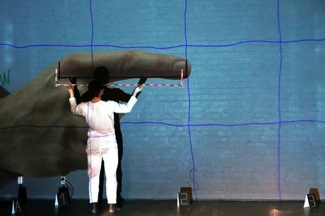Plus Ou Moins Cirque Productions: Feldmessung