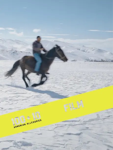 5 Dreamers and a Horse