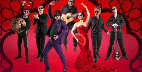 Flamenco ‒ Rosas Negras