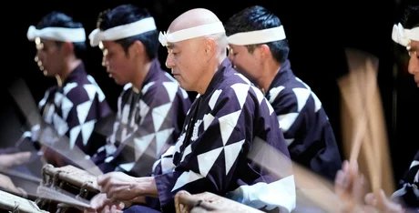 Kodo