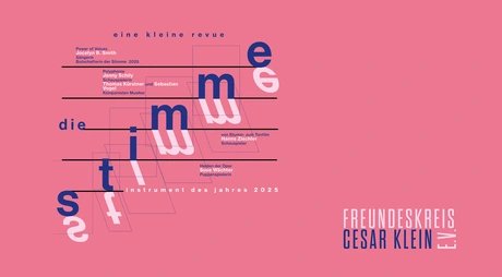 VISUAL Die Stimme