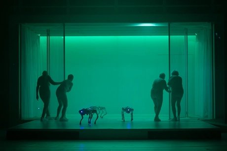 A Year without Summer