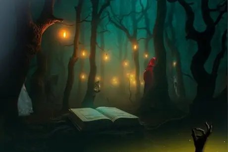 VISUAL INTO THE WOODS