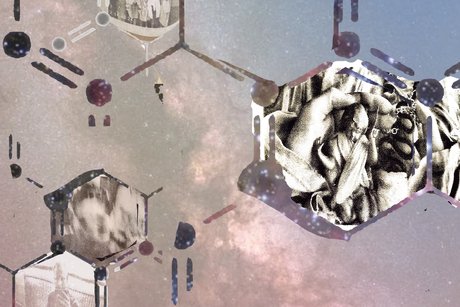 Die molekulare Struktur von Sehnsucht