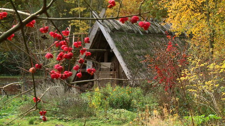 Herbstidylle in Düppel
