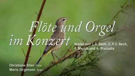 VISUAL Flöte und Orgel im Konzert