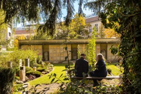 Friedhof Friedhof