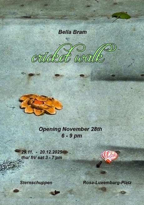 VISUAL cricket walk | Bella Bram