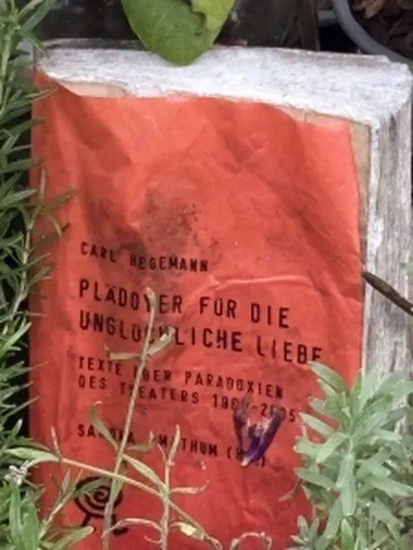 Grabmal Carl Hegemann