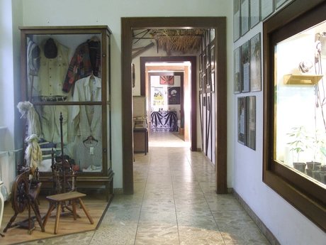 Blick in die Hanf-Ausstellung