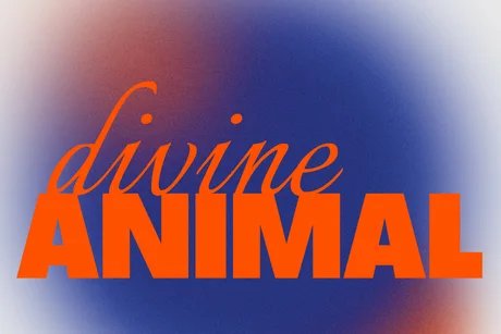 VISUAL Divine Animal