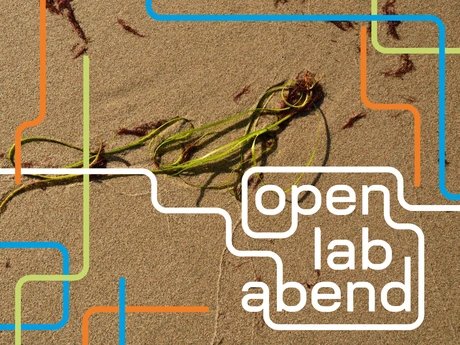 VISUAL Open Lab Abend