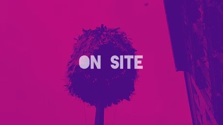 VISUAL PINK YOU FEST: ON SITE