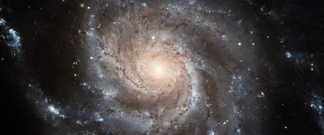 Spiralgalaxie
