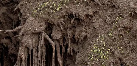 Delcy Morelos, Madre, Detail, 2025, Erde, Ton, Wasser, Holz, Metall, Jute Heu, Stroh Zimt, Nelken, Buchweizen, Chia-Samen, Tabak, Honig, Maße variabel. Ausstellungsansicht Hamburger Bahnhof – Nationalgalerie der Gegenwart, 11.7.2025 – 25.1.2026