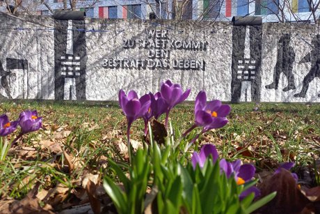 Veranstaltungen in Berlin: Ein Baum für Ben