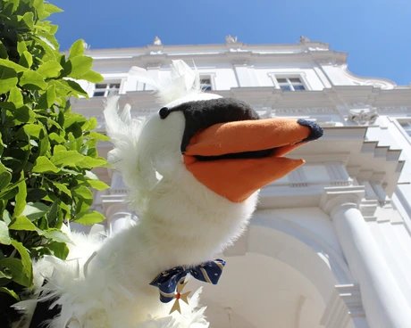 Familienführung: Schwan Heinrich erzählt aus der Zeit Friedrichs I.