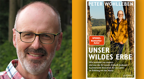 Peter Wohlleben und sein neues Buch: Unser wildes Erbe
