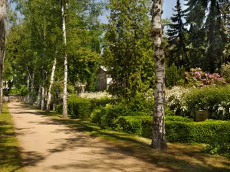 Dorotheenstädtischer Friedhof I Mitte