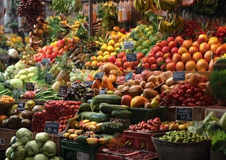 VISUAL Food Futures: Global Seeds, Berlin Soil